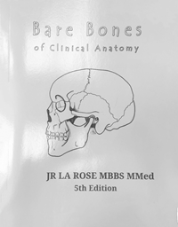 Bare Bones Of Clinical Anatomy