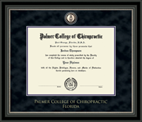 Florida Masterpiece Noir Edition Diploma Frame