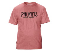 Palmer Spine P Tee